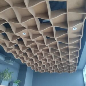 PET Panel Celling