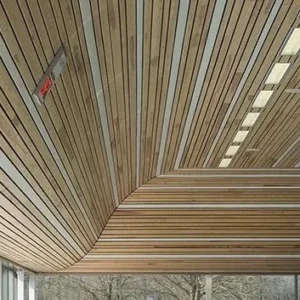 PVS Non-Metal Celling